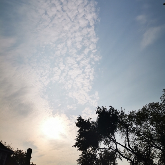 Meet your Posher, Fran - Picture 1 of 1